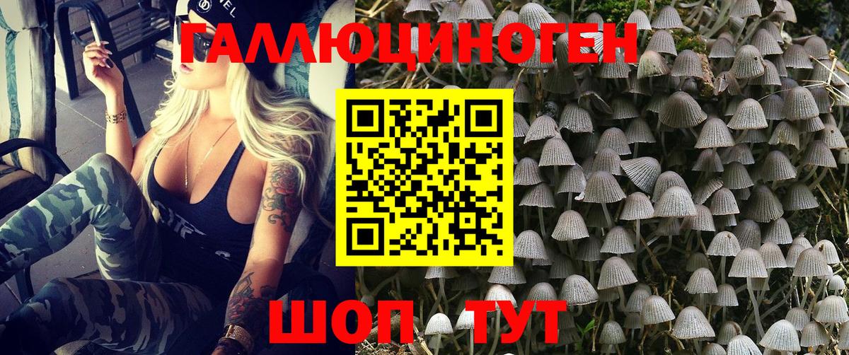 Галлюциногенные грибы мухоморы Ангарск