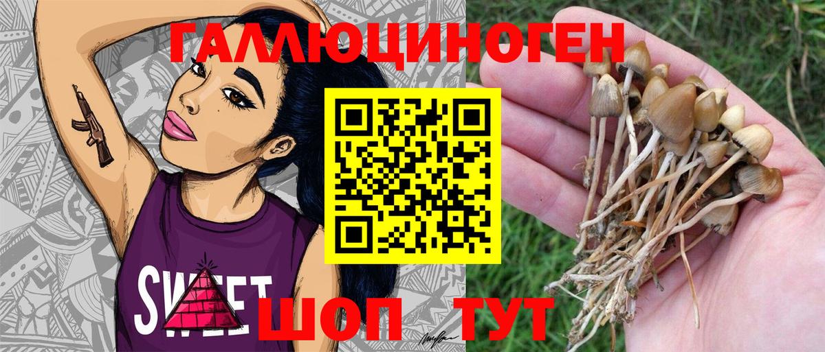 Ангарск  Галлюциногенные грибы Psilocybe  Вход с VPN  Псилоцибиновые грибы ЛСД 